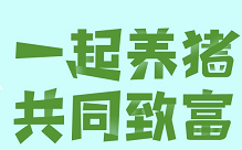 一起来养猪app，旅行世界旗下，有猪就24小时有收益，怎么玩？静态也可以撸